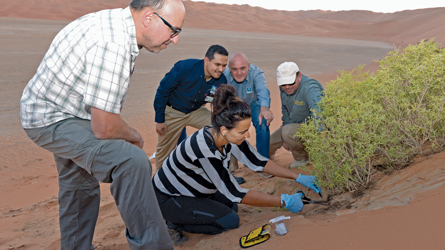 pioneering-ecological-research-project-at-the-shaybah-wildlife-s