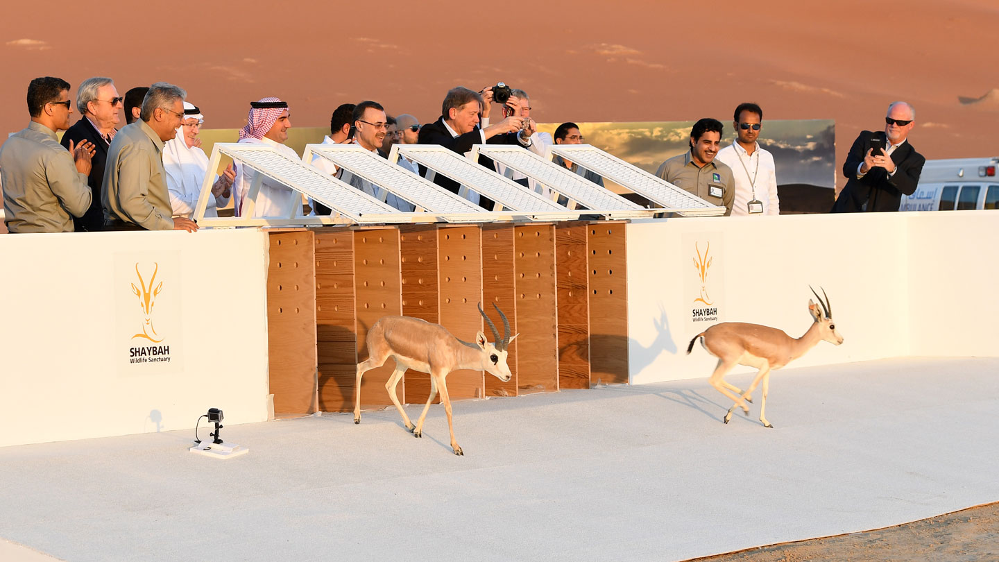 shaybah-wildlife-sanctuary-inaugurated