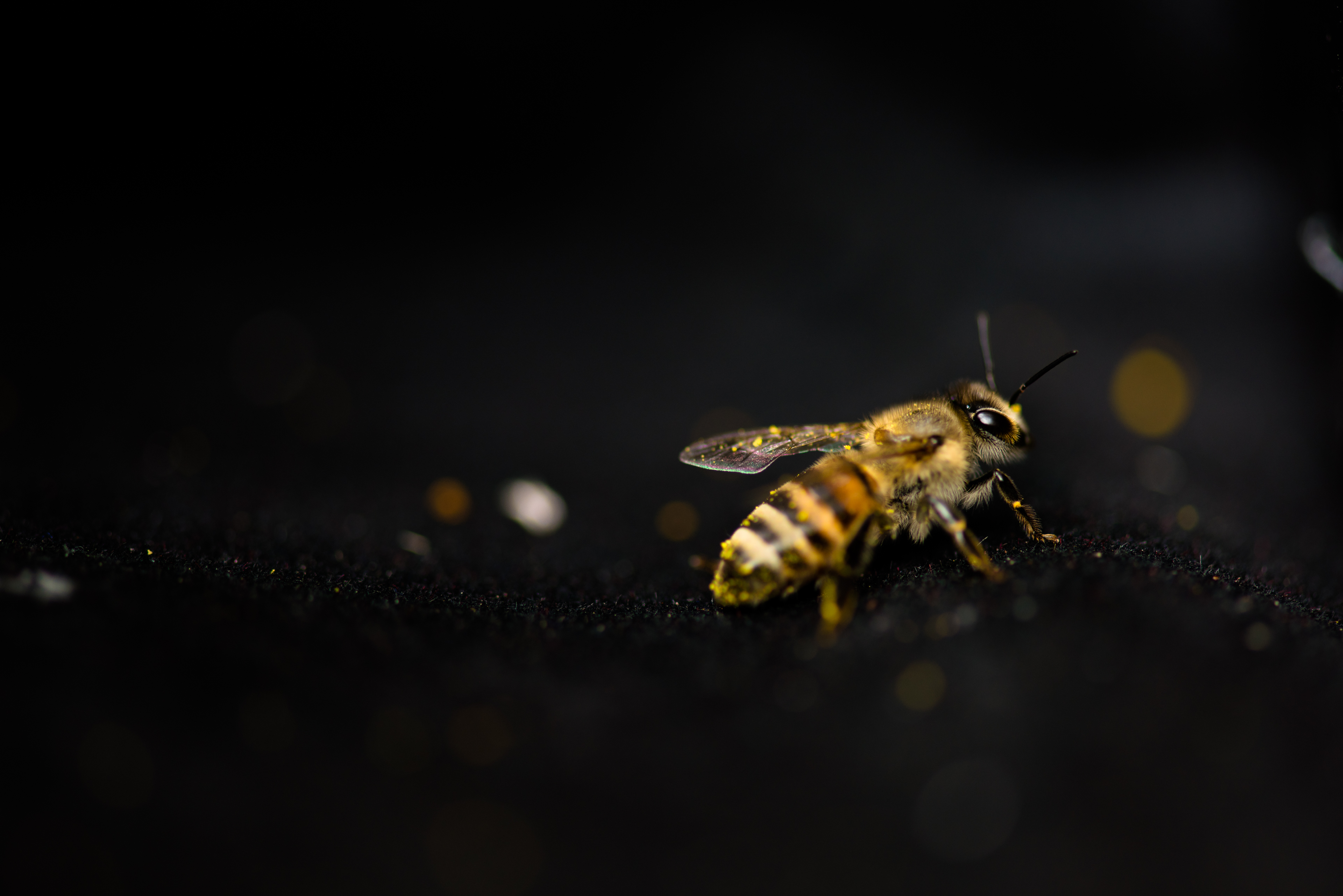 Micro industries Aramco