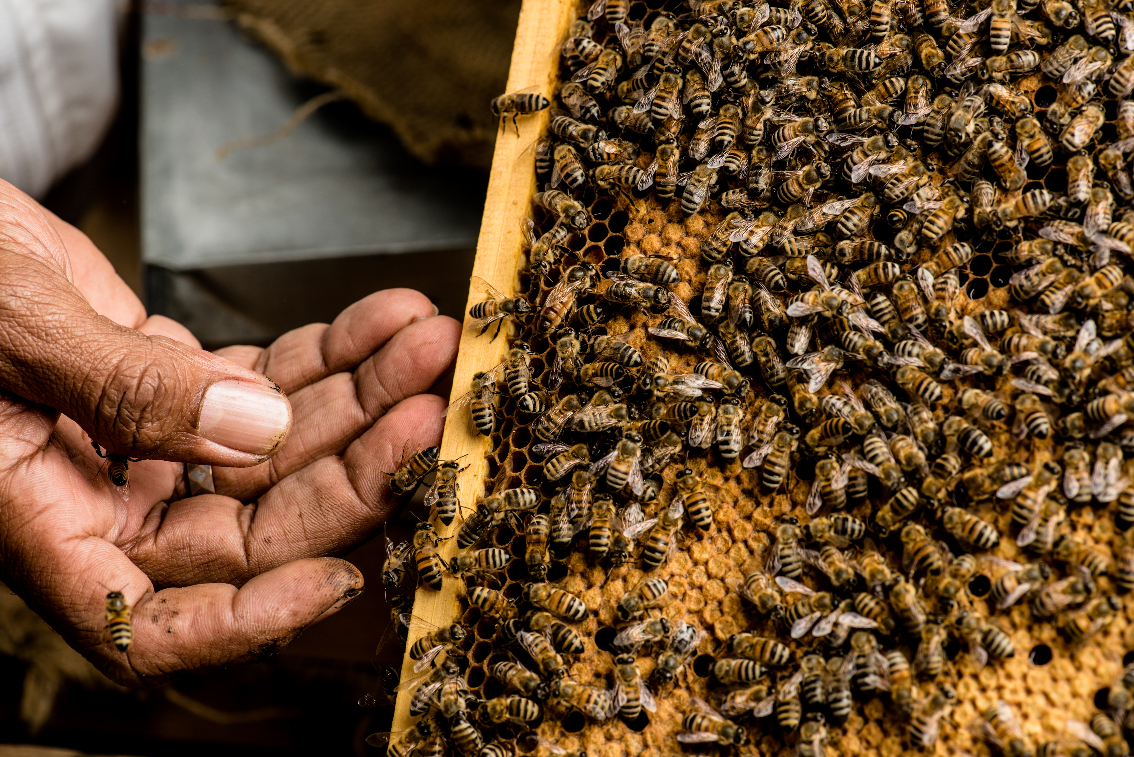 Micro industries Aramco