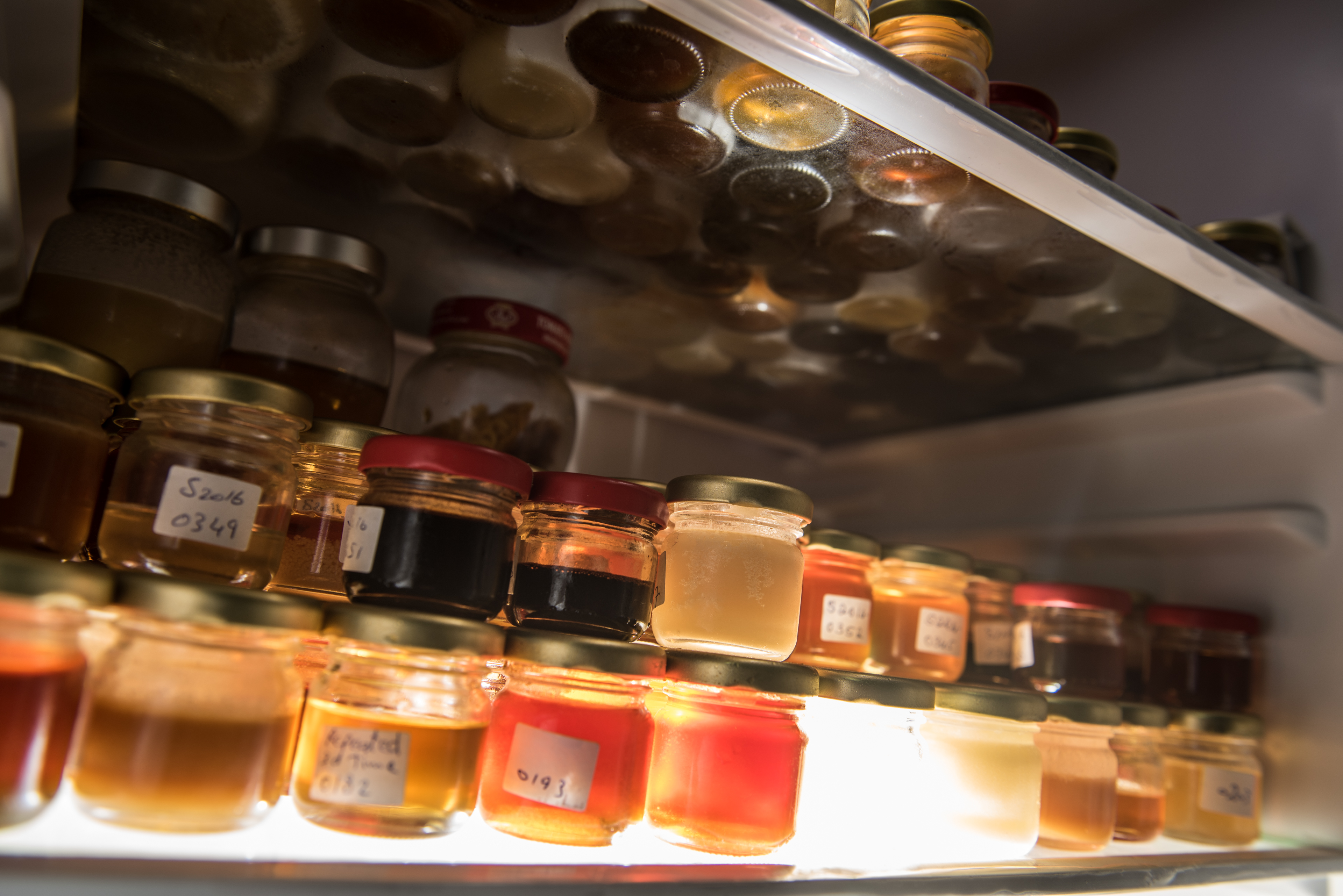 Micro industries Aramco