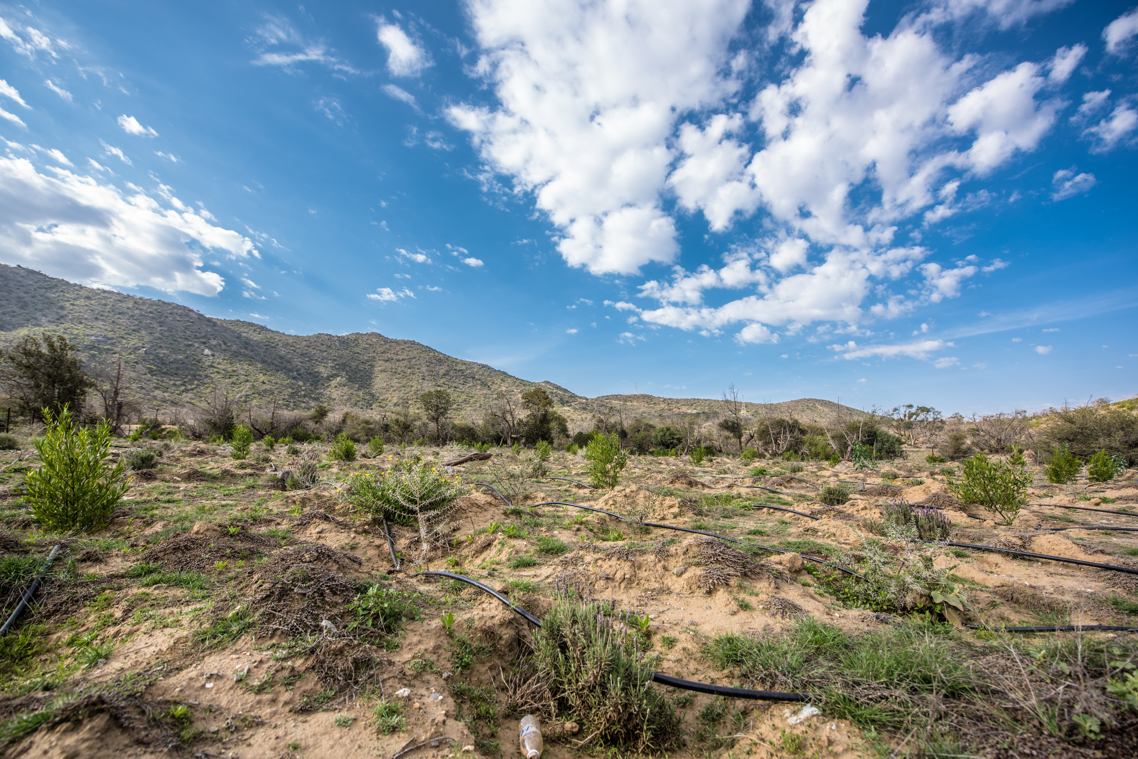 Micro industries Aramco