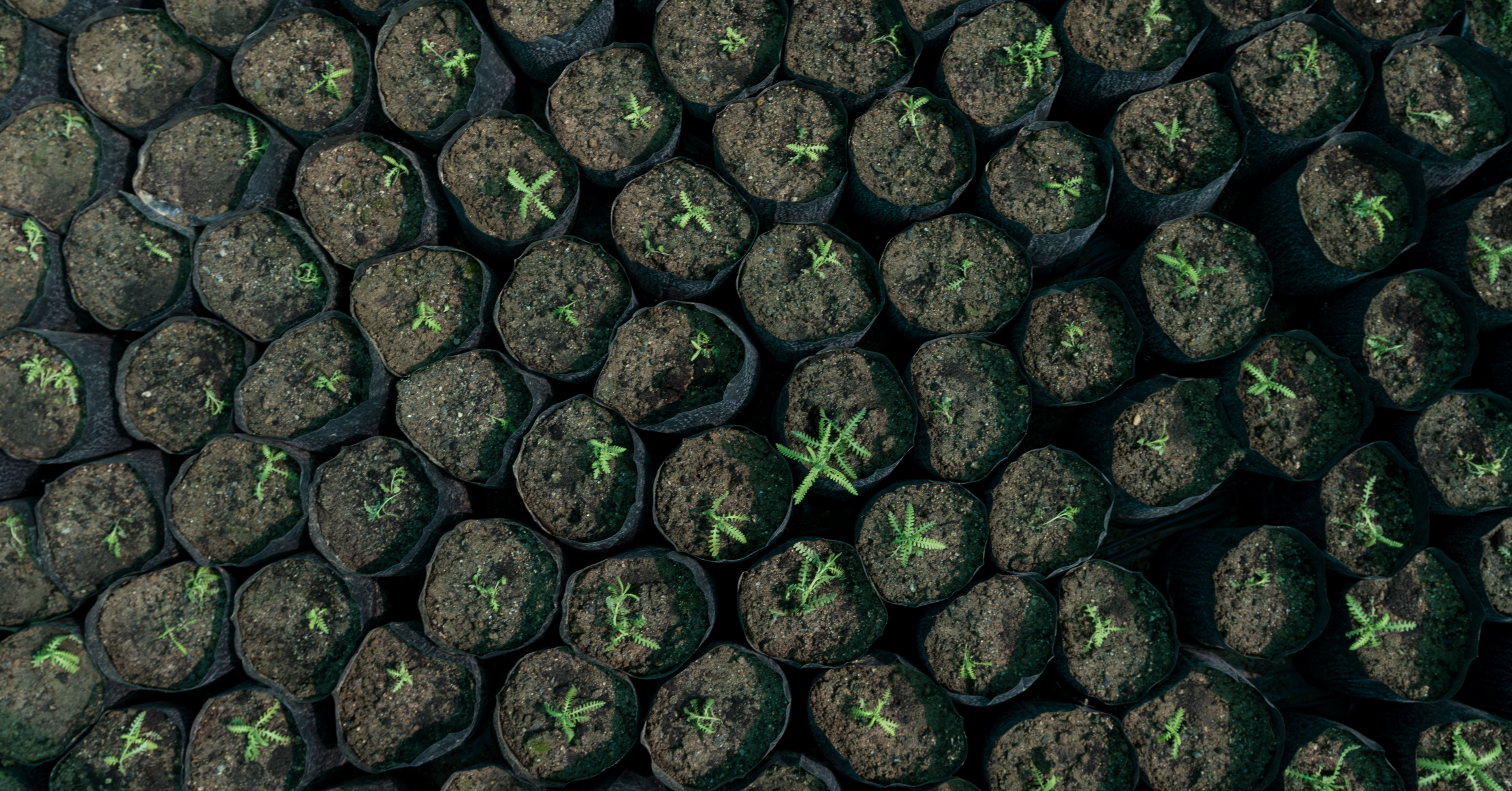 Micro industries Aramco