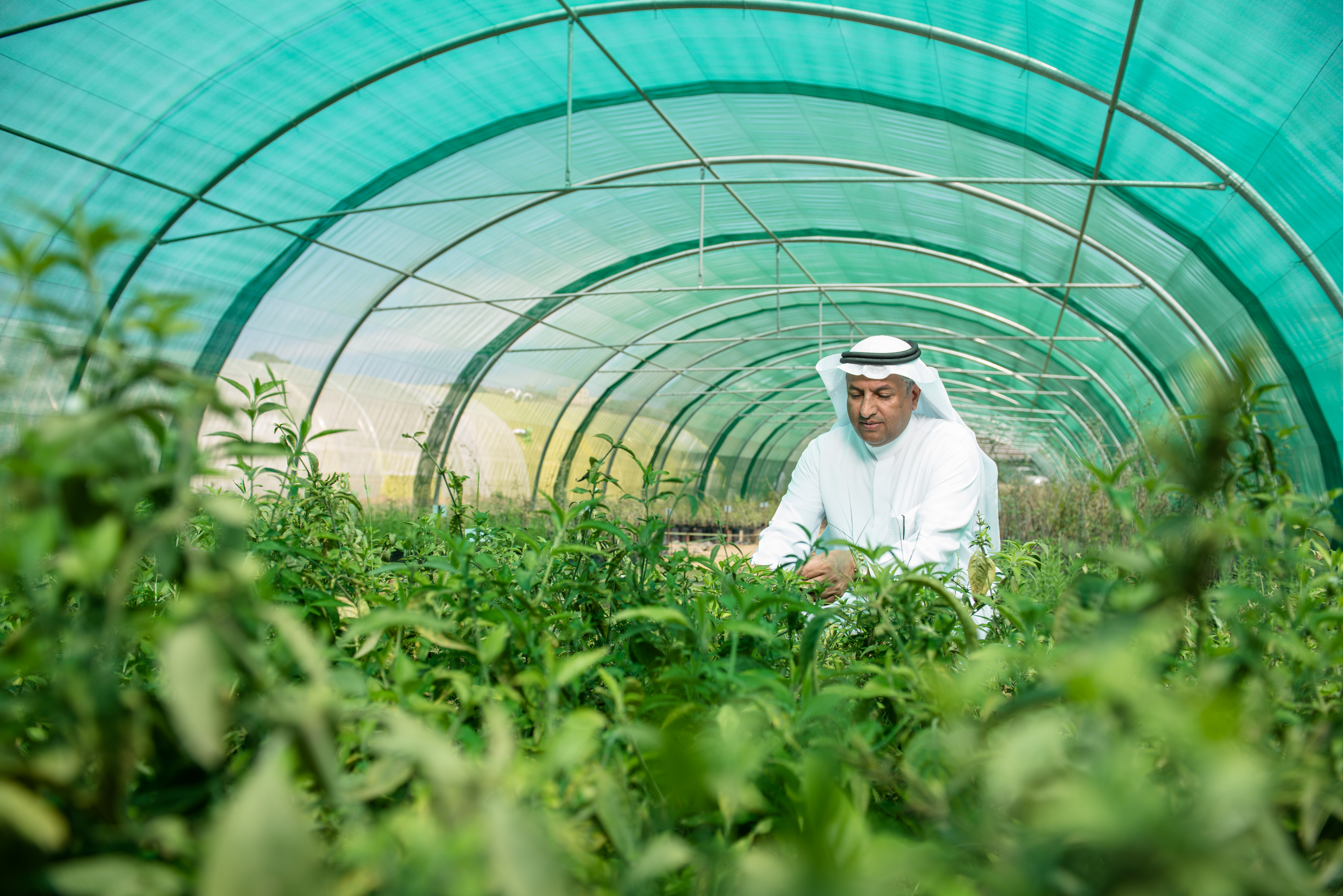 Micro industries Aramco